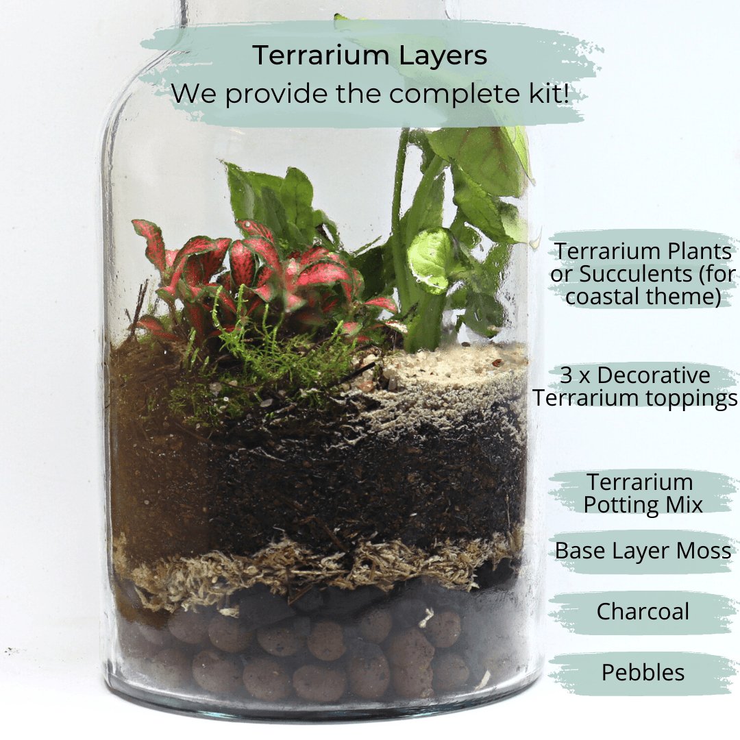 Terrarium Layering Techniques: Master the Art of Miniature Gardens