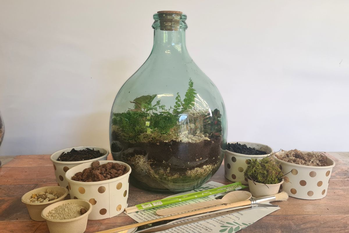 Bouteille Terrarium Verre Recyclé Transparent 10 l H 41,3 cm - ESSCHERT