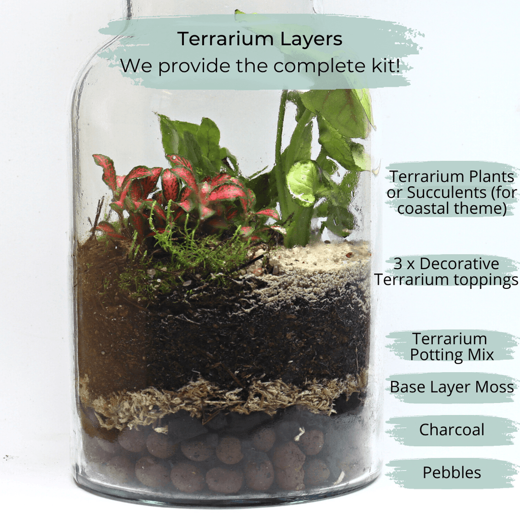 The Important Layers in a Terrarium & Their Functions - Flower and Twig Nursery