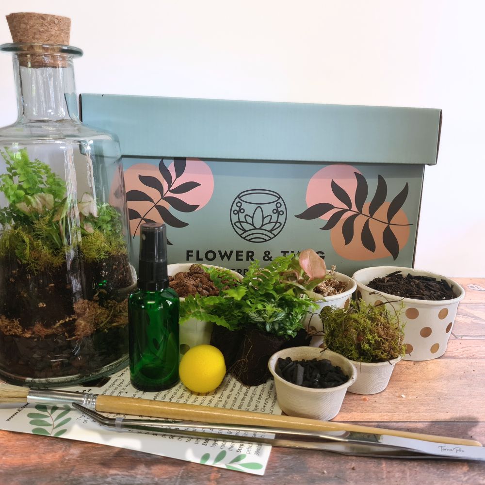 DIY Terrarium Gift Sets - Flower and Twig Nursery