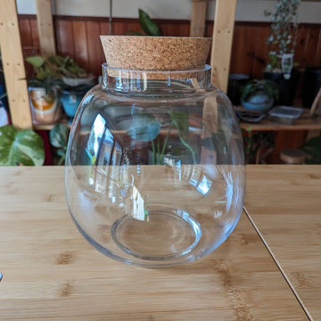 Belly Terrarium with Cork Lid - Flower and Twig Nursery