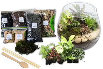 Closed Greta Forest DIY Terrarium Kit - Flower and Twig Nursery