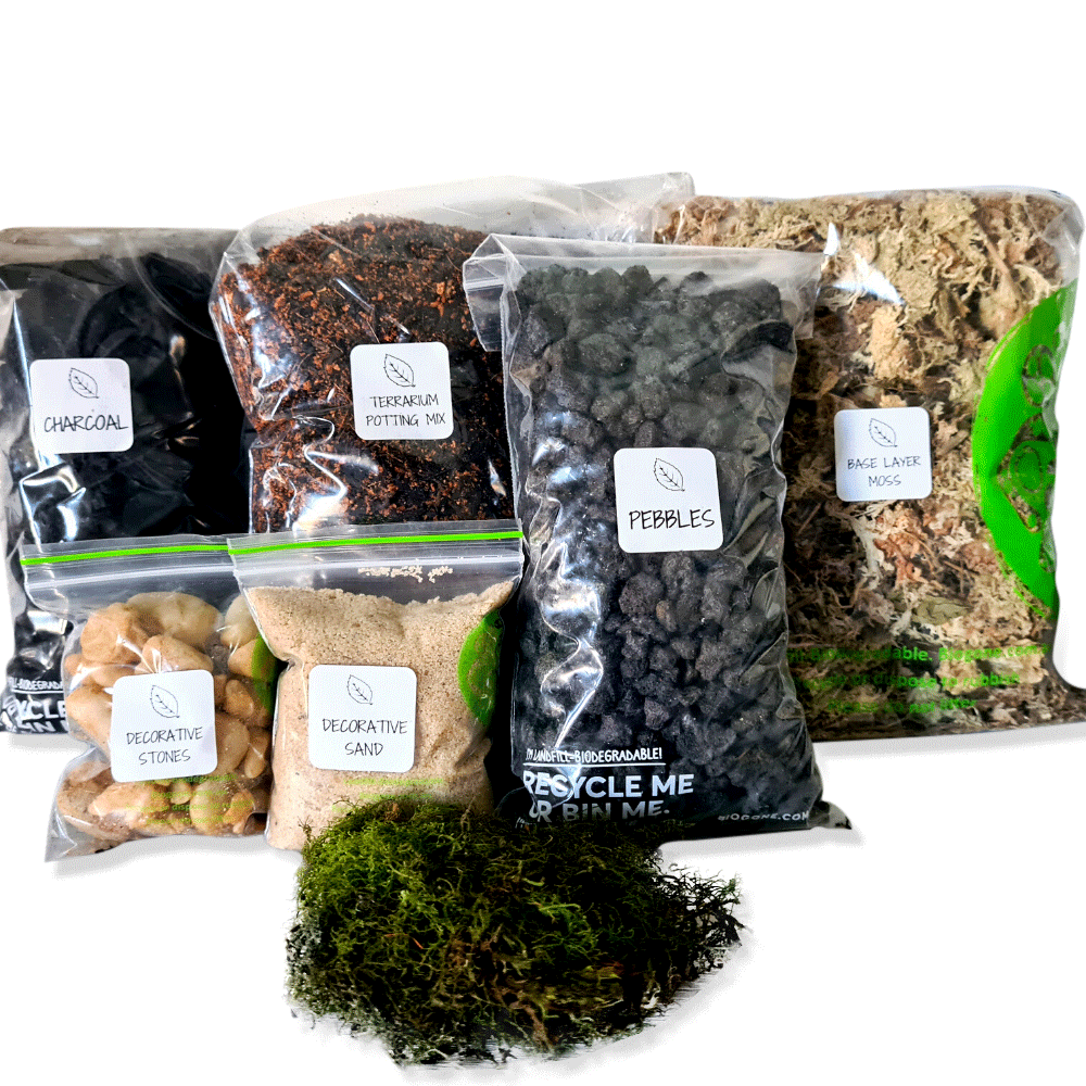 Closed Terrarium Supplies - Substrates and Tools - Flower and Twig Nursery