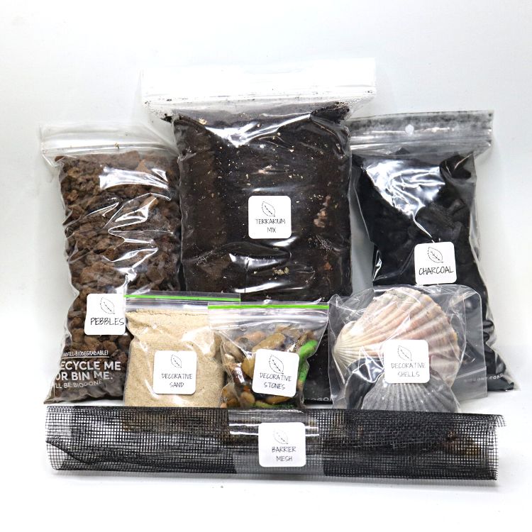 Coastal DIY Terrarium Kit - 15cm - Flower and Twig Nursery