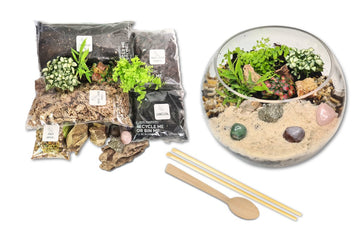 Crystal Garden DIY Terrarium Kit - Flower and Twig Nursery