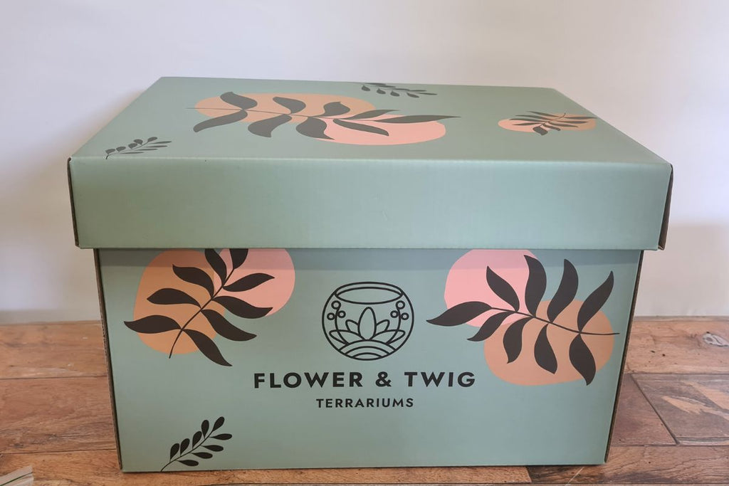 Crystal Garden Gift Set - Flower and Twig Nursery