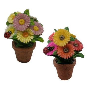 Daisy Pot - Flower and Twig Nursery