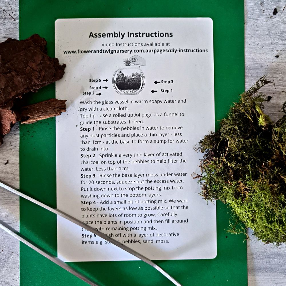 Diagonal Open DIY Terrarium Kit - Flower and Twig Nursery