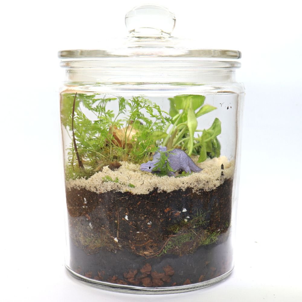 Dino Roar DIY Terrarium Kit - Flower and Twig Nursery
