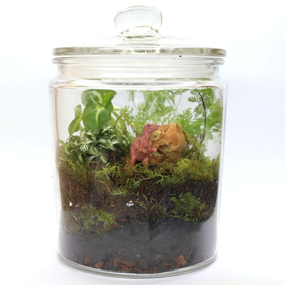 Dino Roar DIY Terrarium Kit - Flower and Twig Nursery