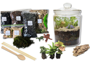 Dino Roar DIY Terrarium Kit - Flower and Twig Nursery