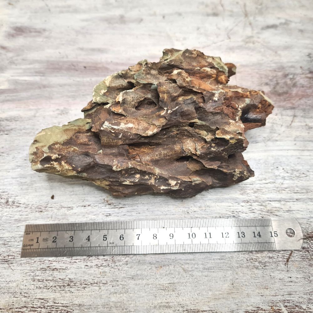 Dragon Rock - Flower and Twig Nursery