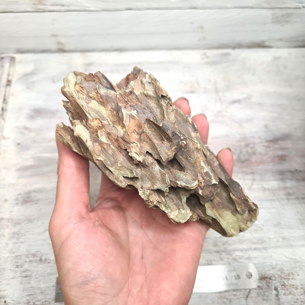 Dragon Rock - Flower and Twig Nursery