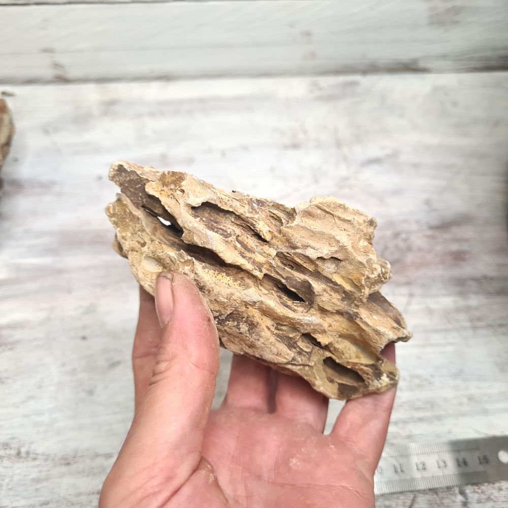 Dragon Rock - Flower and Twig Nursery