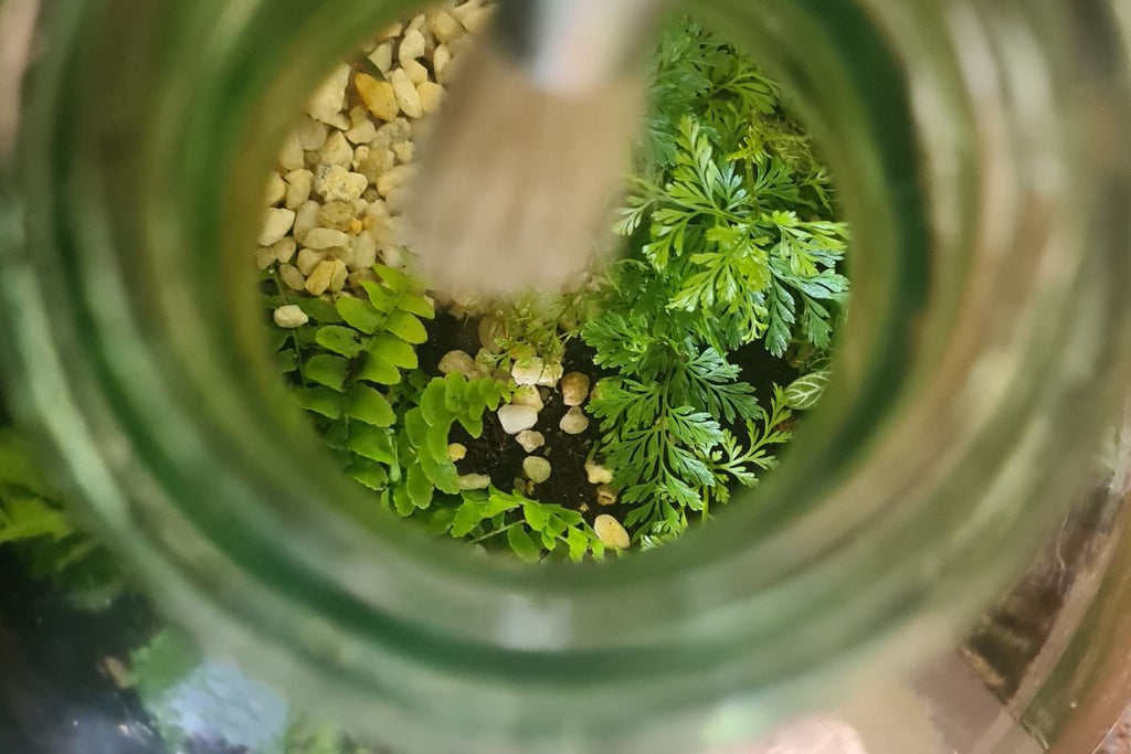 Esschert Design DIY Terrarium Kit - 5lt Bottle - Flower and Twig Nursery