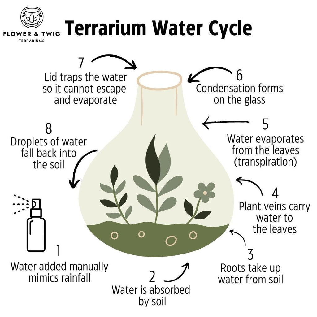 Esschert Design DIY Terrarium Kit - 5lt Bottle - Flower and Twig Nursery