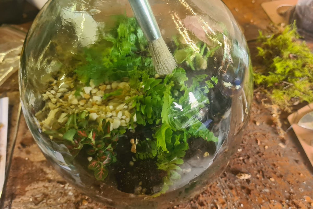 Esschert Design DIY Terrarium Kit - 5lt Bottle - Flower and Twig Nursery