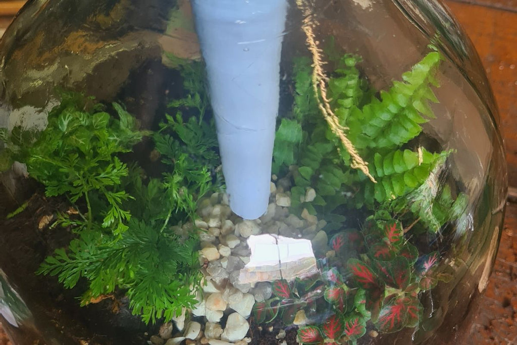 Esschert Design DIY Terrarium Kit - 5lt Bottle - Flower and Twig Nursery