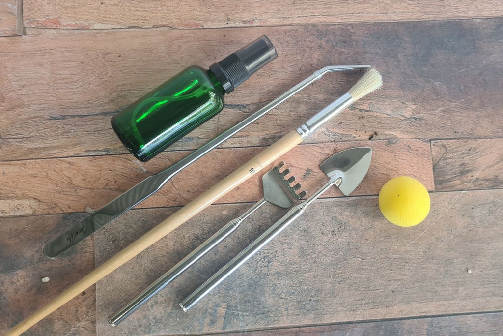 Esschert Design DIY Terrarium Kit - 5lt Bottle - Flower and Twig Nursery