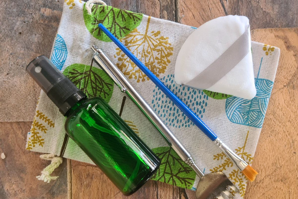 Fittonia Forest Gift Set - Flower and Twig Nursery