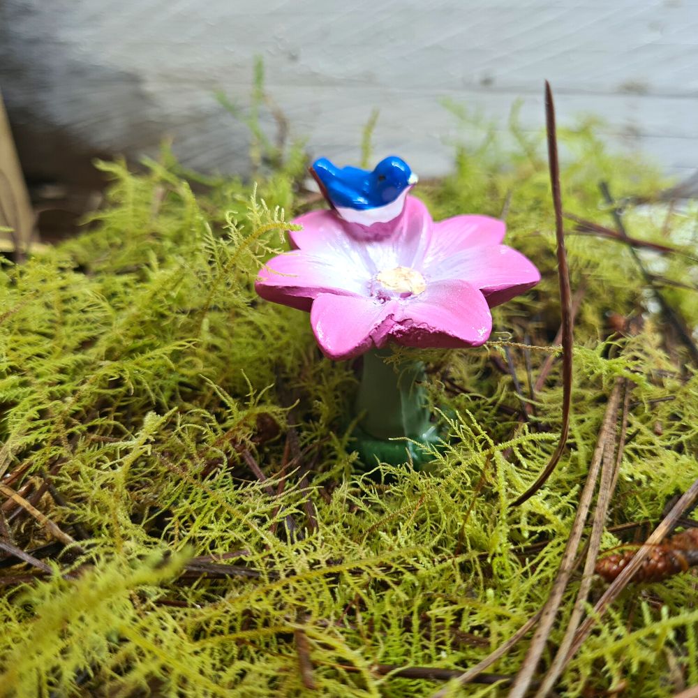 Flower Bird Bath - Flower and Twig Nursery