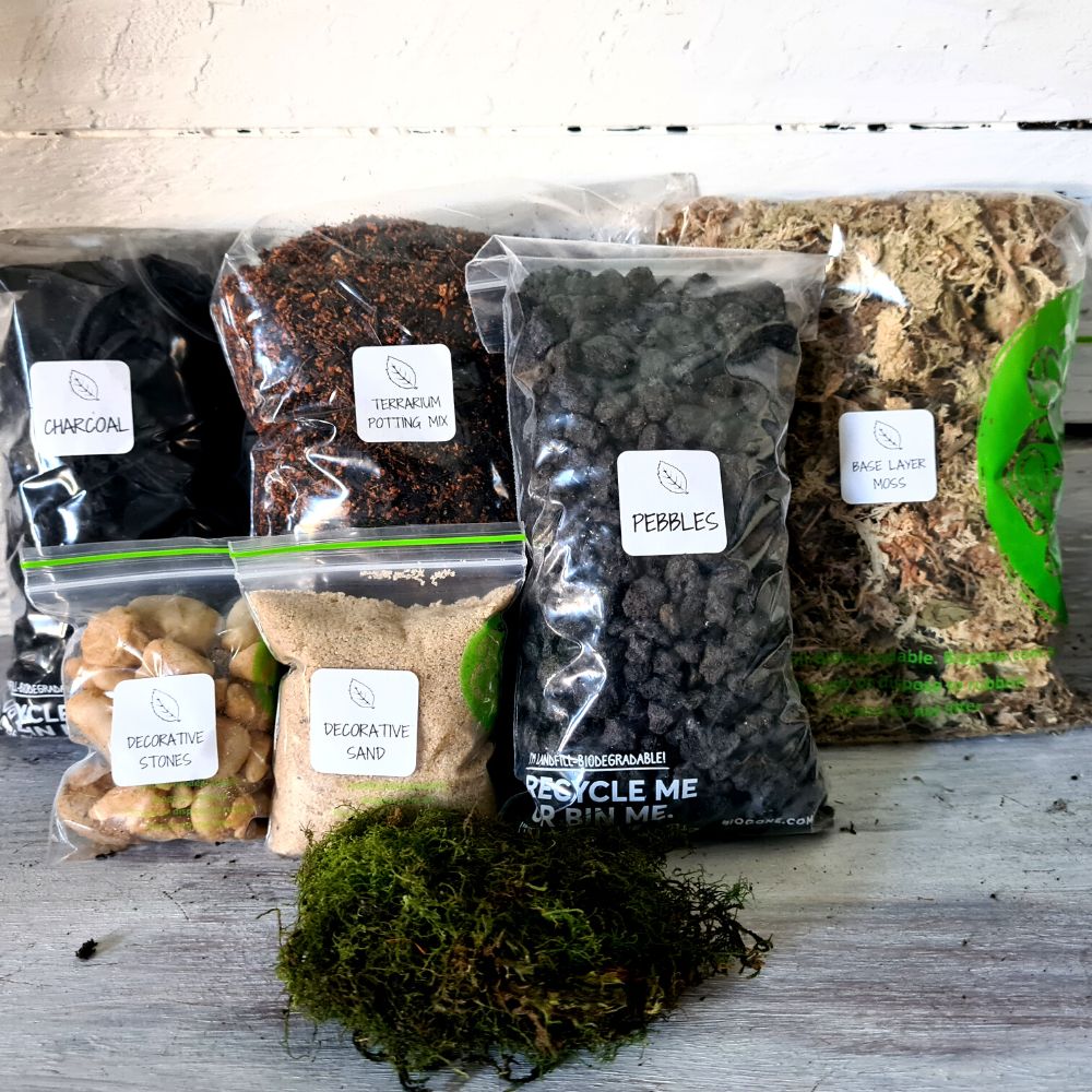 Forest Capsule DIY Terrarium Kit - Flower and Twig Nursery