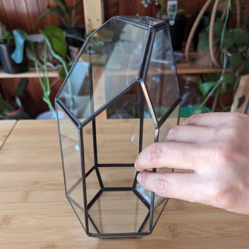 Geometric Terrarium - Flower and Twig Nursery