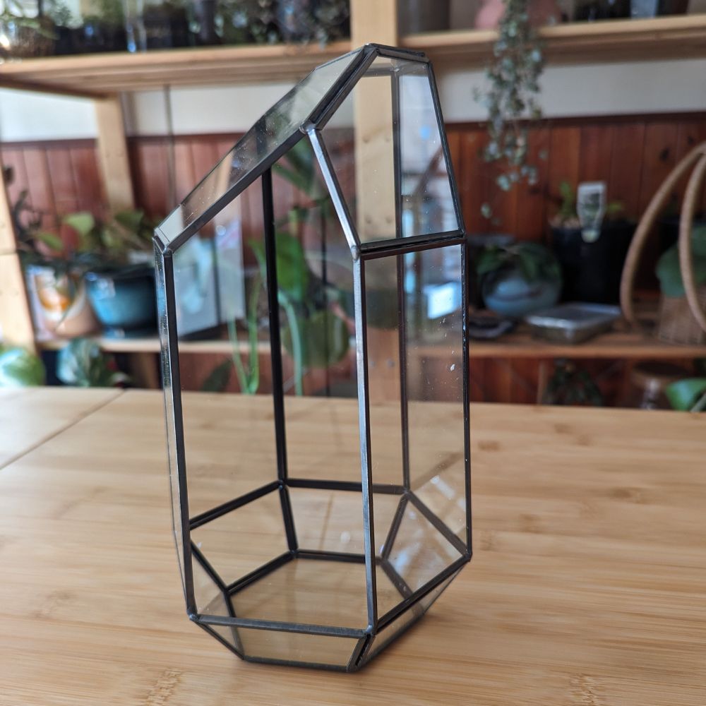 Geometric Terrarium - Flower and Twig Nursery