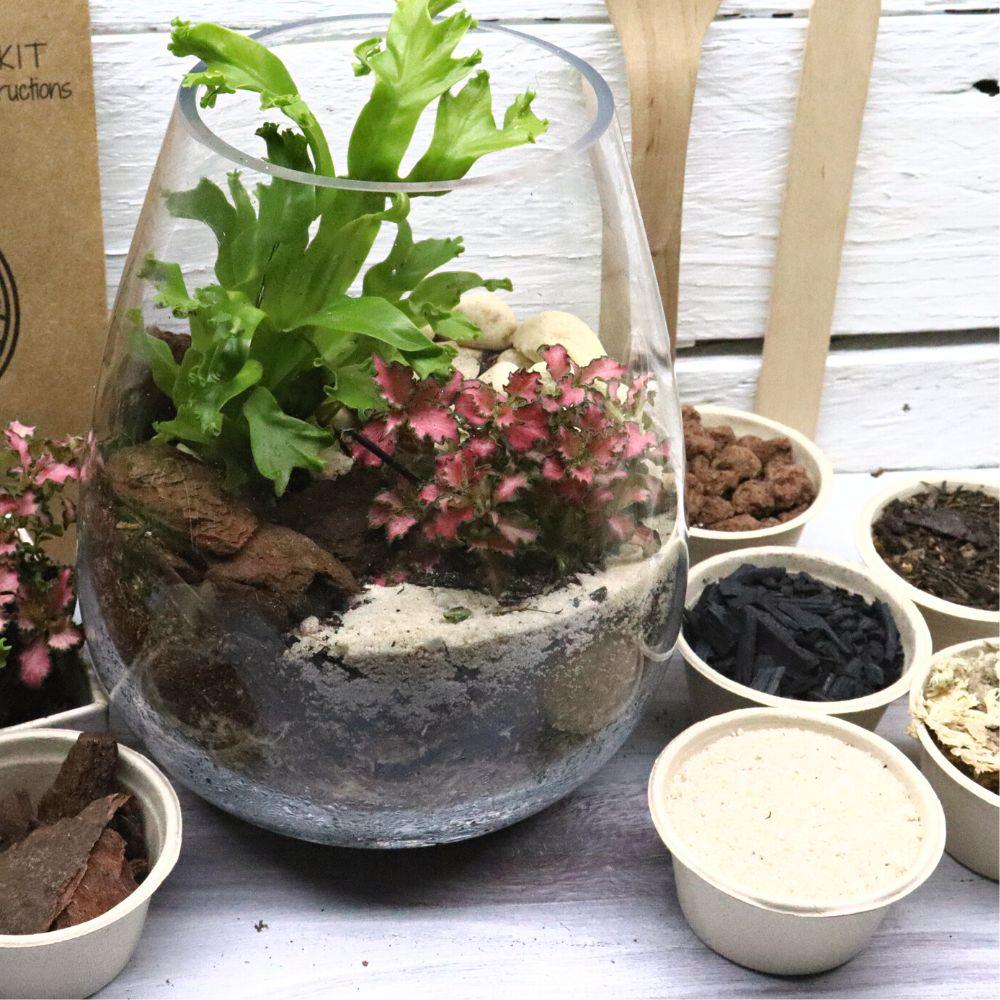 Greta Forest DIY Terrarium Kit - 3 Sizes Available - Flower and Twig Nursery