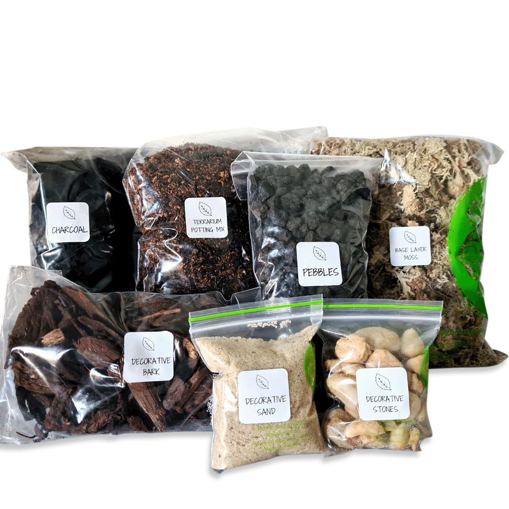 Greta Forest DIY Terrarium Kit - 3 Sizes Available - Flower and Twig Nursery