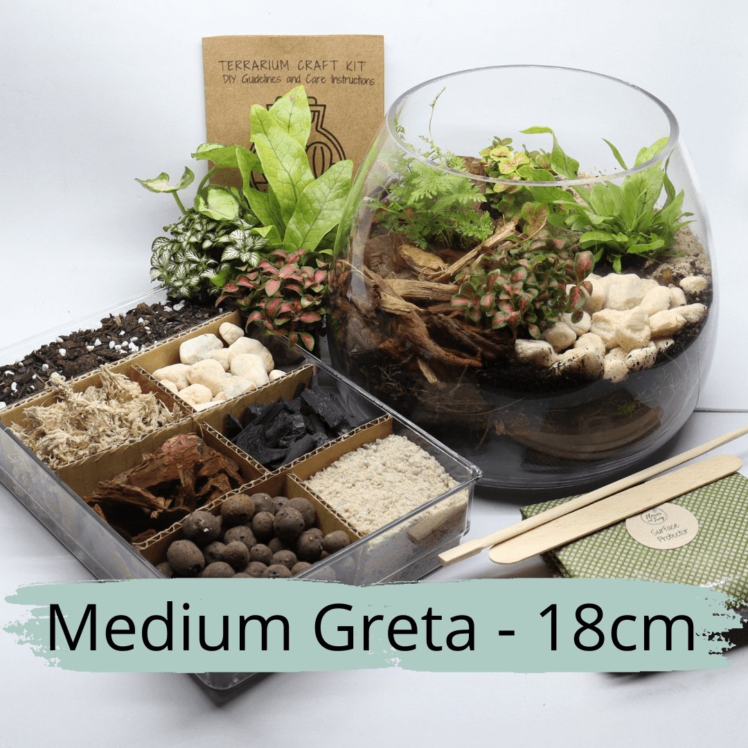 diy terrarium kit with plants Medium
