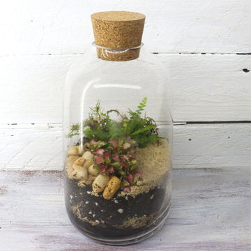 Hamia Jar DIY Terrarium Kit - Flower and Twig Nursery