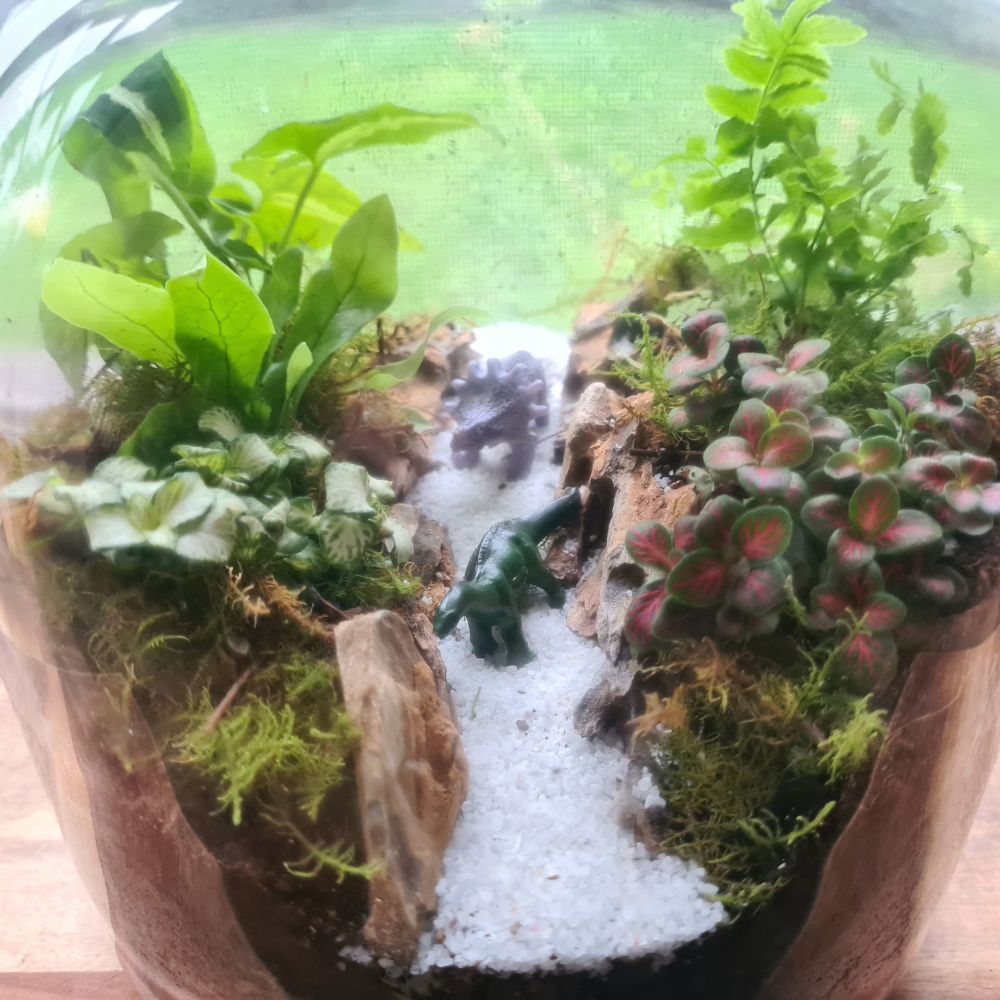 Jurassic Garden DIY Terrarium Kit - Flower and Twig Nursery