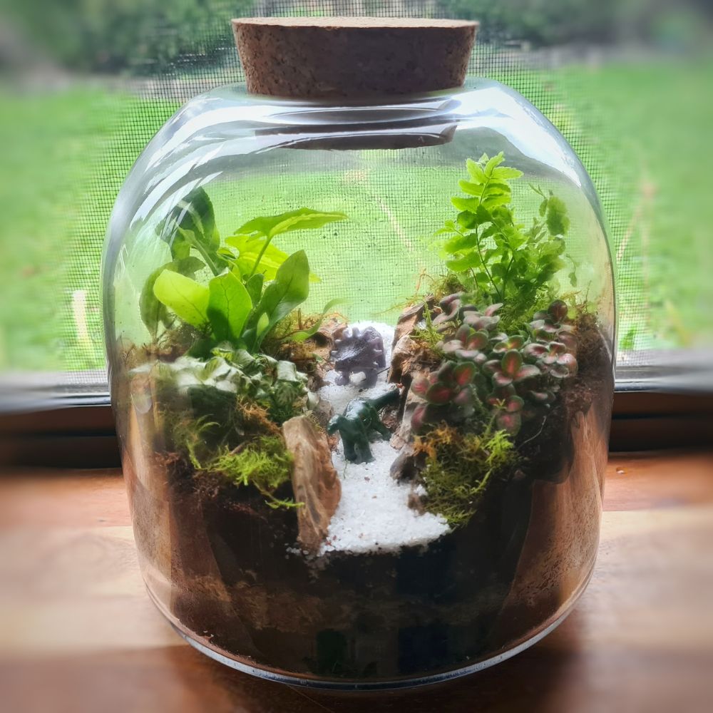 closed terrarium kit with plants Jurassic Garden DIY Terrarium Kit – Flower and Twig Nursery
