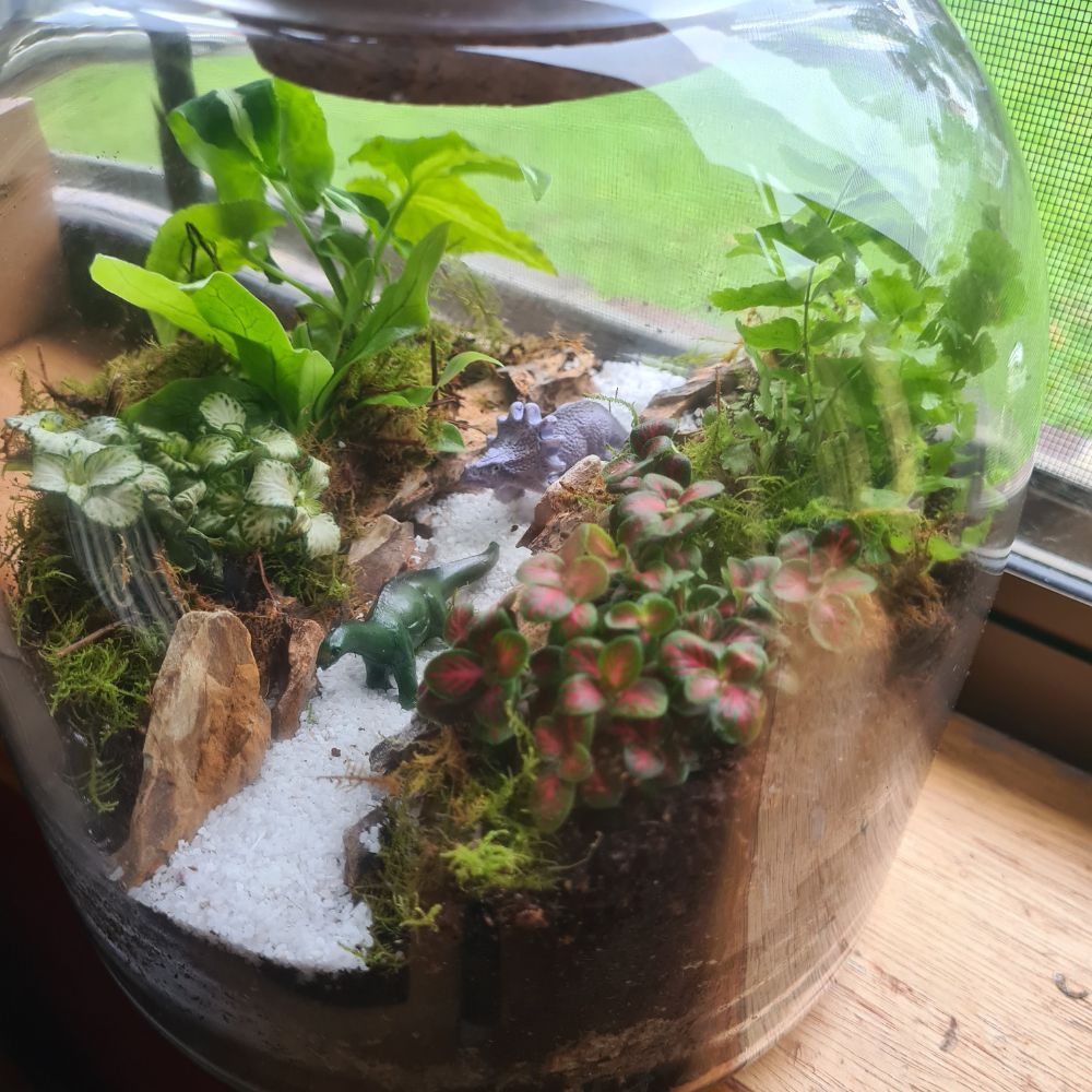 Jurassic Garden DIY Terrarium Kit - Flower and Twig Nursery