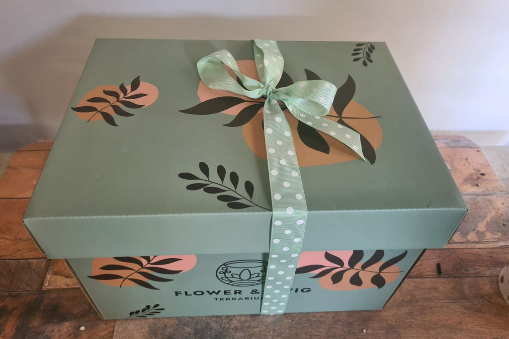 Large Forest Jar Gift Set - Flower and Twig Nursery