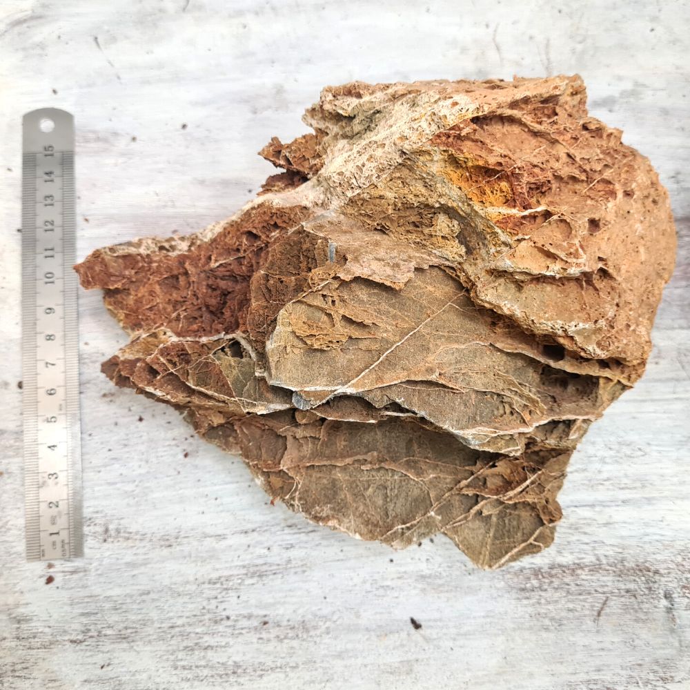 Maple Leaf Stone - Flower and Twig Nursery