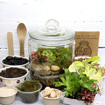 Medium Forest Jar DIY Terrarium Kit - Flower and Twig Nursery