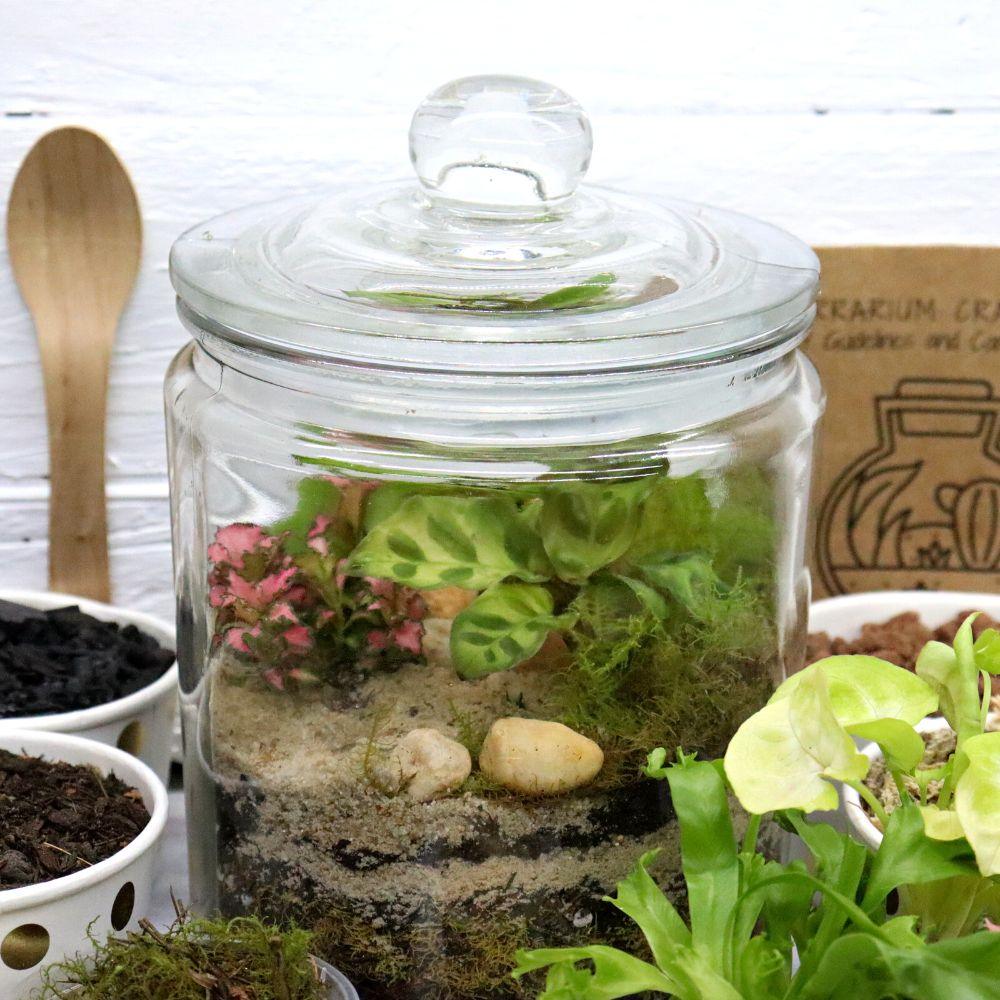 Medium Forest Jar DIY Terrarium Kit - Flower and Twig Nursery
