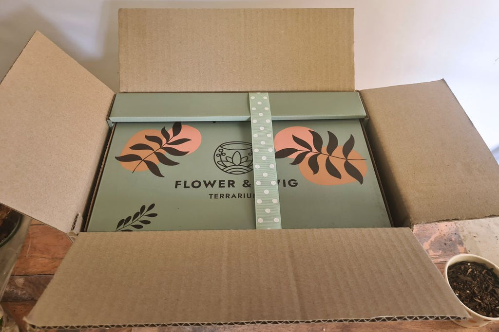 Medium Tropical Jar Gift Set - Flower and Twig Nursery