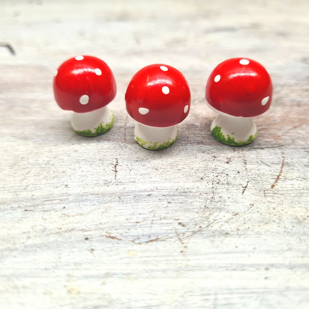 Mini Mushroom Trio - Flower and Twig Nursery
