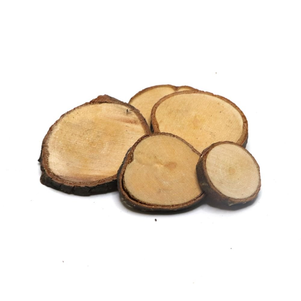 Mini Natural Wood Slices - Flower and Twig Nursery