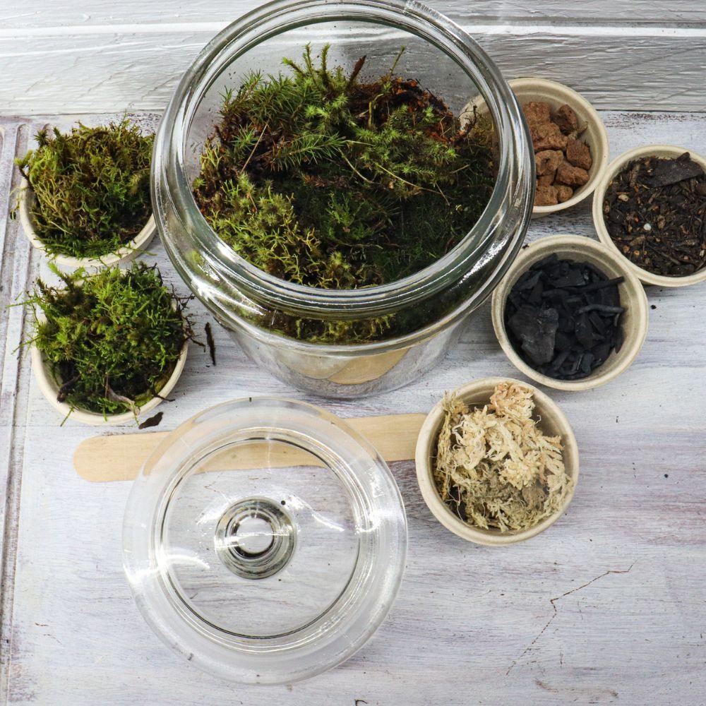 Mossarium DIY Terrarium Kit - Flower and Twig Nursery