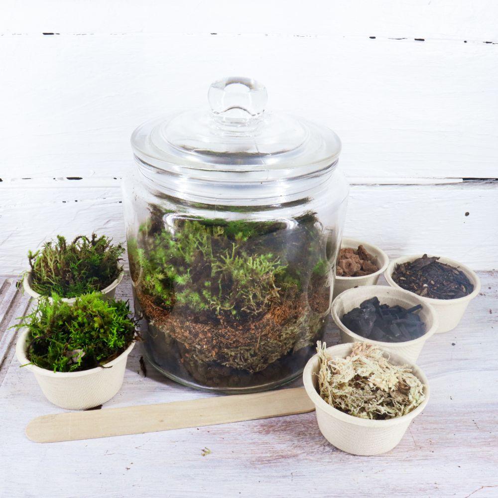 Mossarium DIY Terrarium Kit - Flower and Twig Nursery