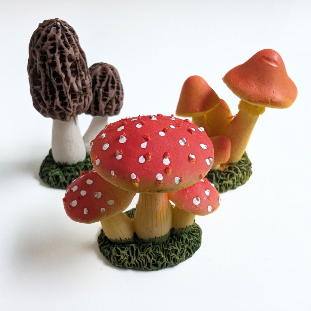 Mushroom Garden - Flower and Twig Nursery