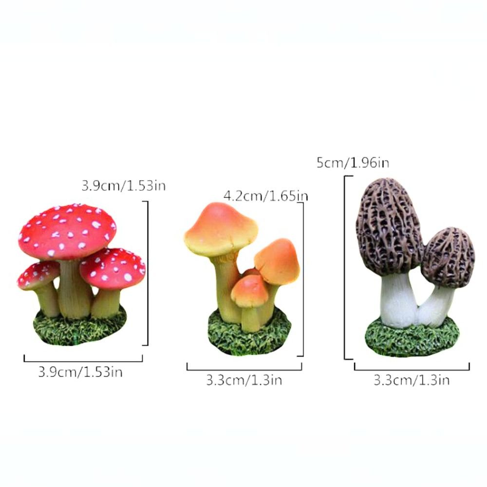 Mushroom Garden - Flower and Twig Nursery