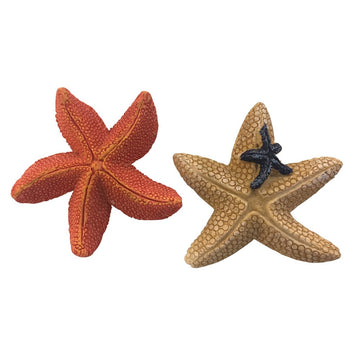 Pair of Mini Starfish - Flower and Twig Nursery