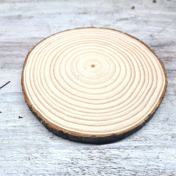 Pine Wood Slice - 12-14cm - Flower and Twig Nursery