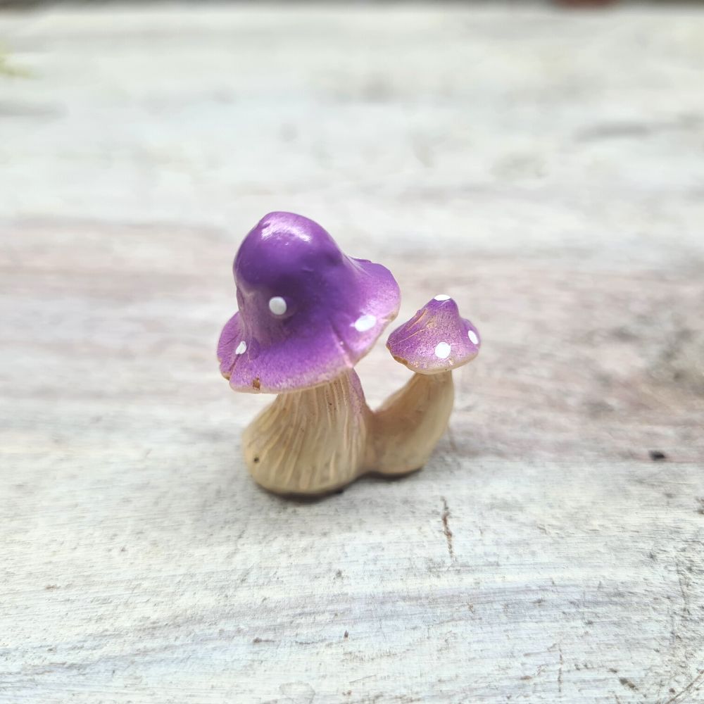 Purple Mushroom Pair - Flower and Twig Nursery