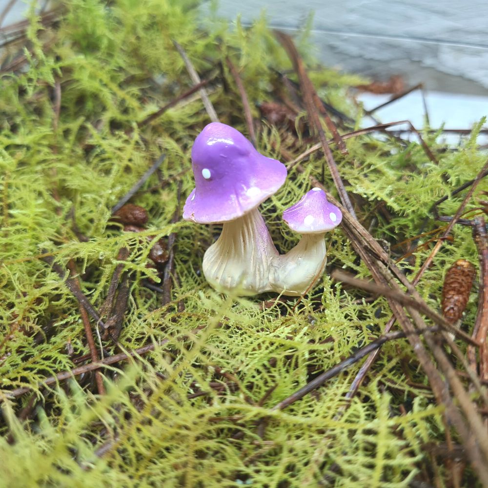 Purple Mushroom Pair - Flower and Twig Nursery